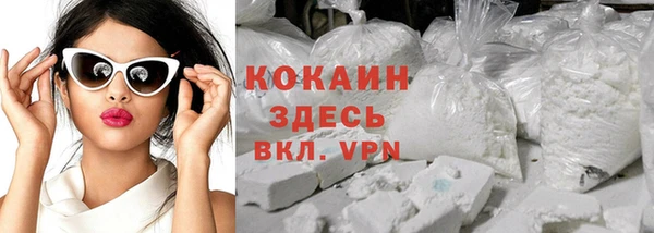 индика Заволжье
