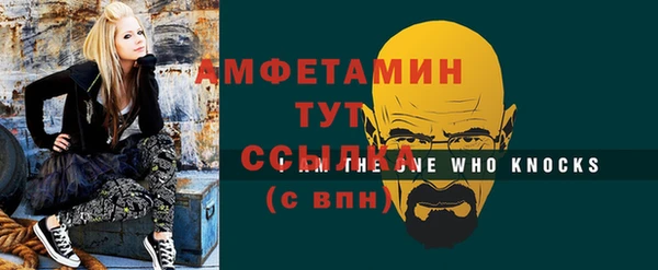 индика Заволжье
