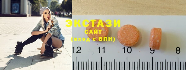 индика Заволжье