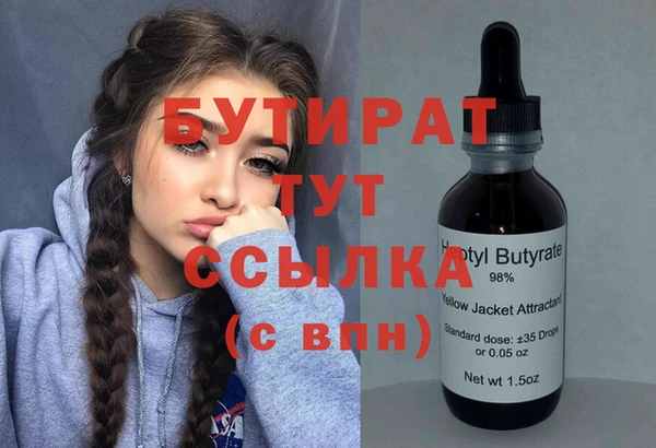 индика Заволжье