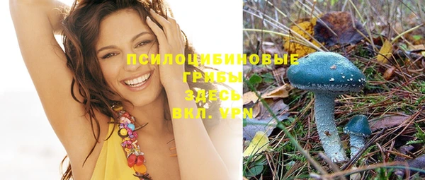 ГАЛЛЮЦИНОГЕННЫЕ ГРИБЫ Зерноград