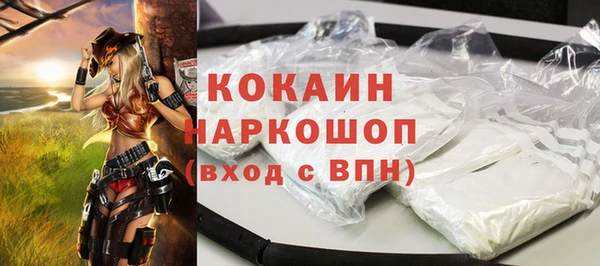 дживик Заводоуковск