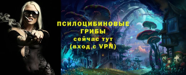 дживик Заводоуковск