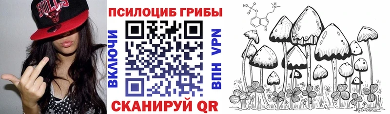 магазин продажи   Усть-Джегута  Галлюциногенные грибы Cubensis 